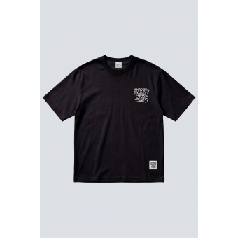 CHRONIC FLER 04