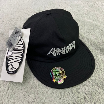 6PANEL CHRONIC