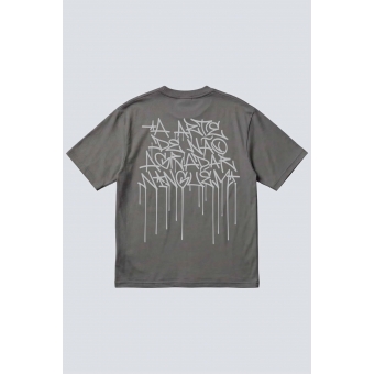 CHRONIC FLER 01